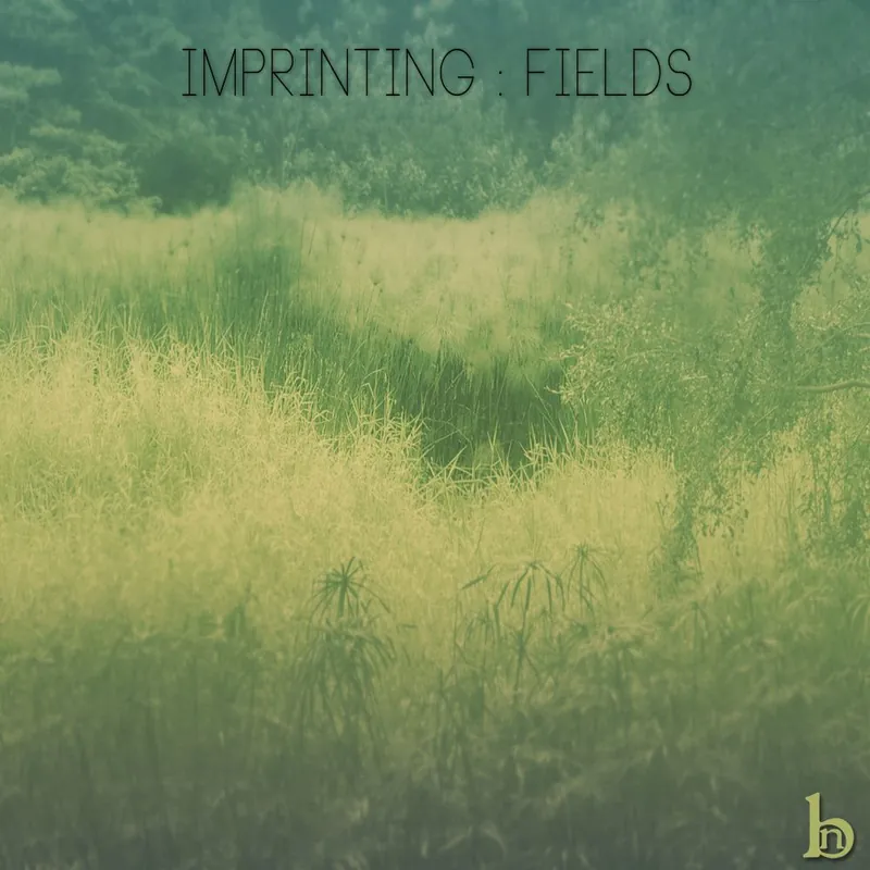 Cover of Fields