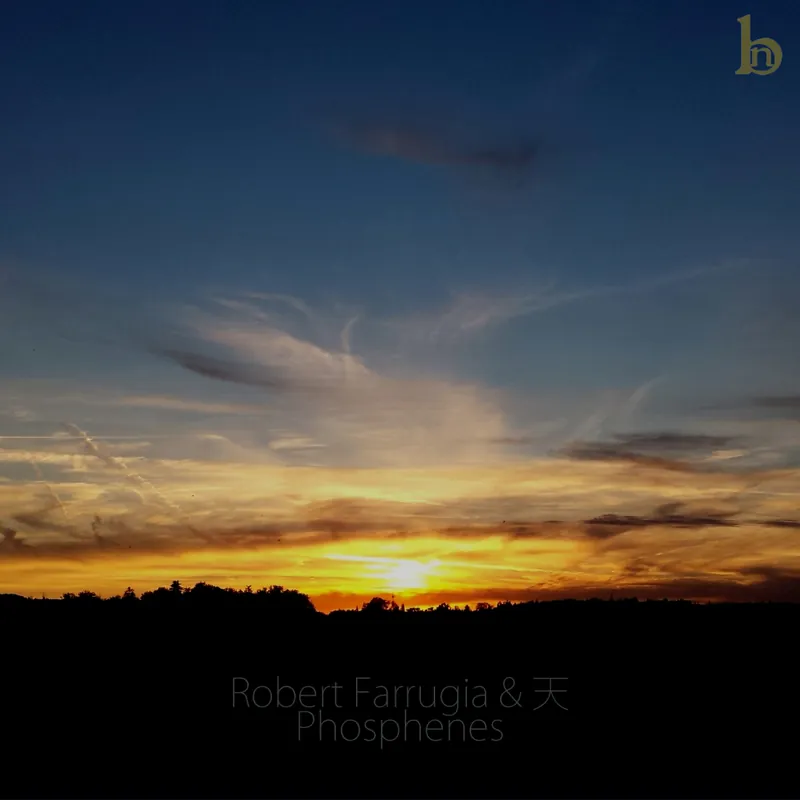 Cover of Phosphenes