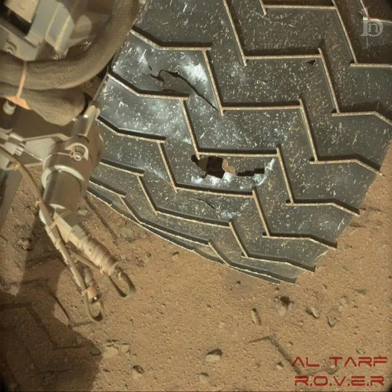 Cover of R.O.V.E.R.
