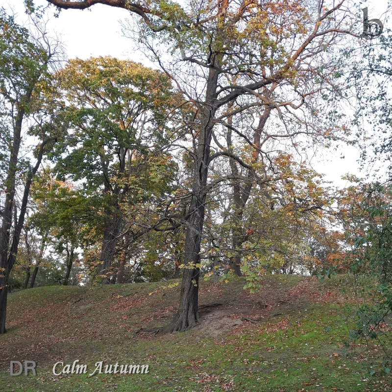 Cover of Calm Autumn